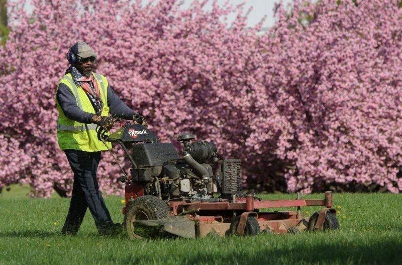 Melwood employee maintains grounds.